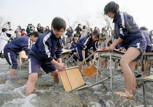 日本初中生冰冷河水中洗课桌庆祝毕业 