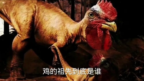 鸡的祖先居然是恐龙 