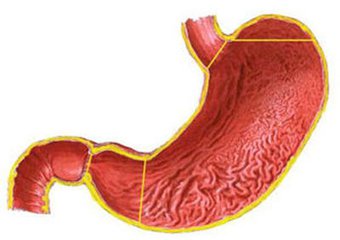 胃窦炎早期图片图片