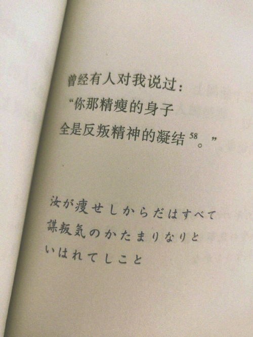 只言片语的句子 都是你角落的孤独 信息图文欣赏 信息村 K0w0m Com