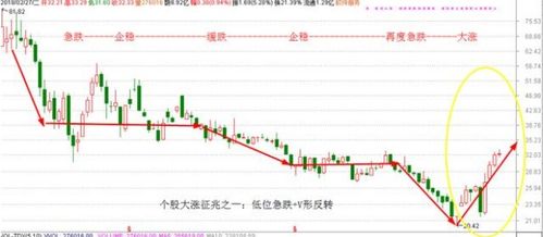 请问我要经过怎样的程序才能顺利买到一支股票呢？