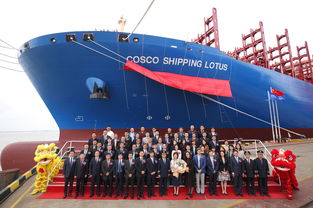 中国远洋海运集团官网,中国远洋海运集团官网招聘2020年