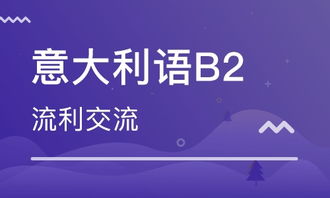 天津 天津意大利语B2班 天津西奥德语 