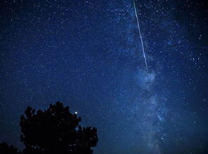 英仙座流星雨 最新照片显示昨晚的流星雨达到顶峰的盛况