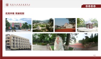 重庆市立信职业教育中心有哪些专业