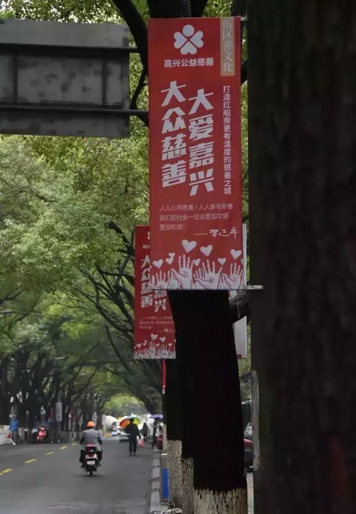 一条街温暖一座城 嘉兴 慈善一条街 启用