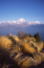 Himalaya山灵性旅程激活冥想