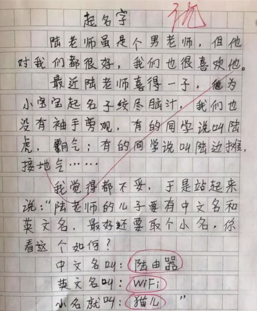 勤劳的妈妈作文300字三年级