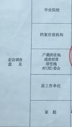 学校的政审意见怎么写