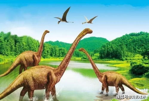 它安全度过三次生物大灭绝,和恐龙相处1.6亿年,不是水熊虫