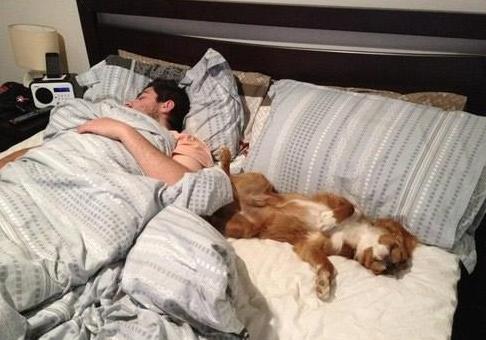 家庭养狗狗,能不能和人一起睡觉,三分钟告诉你利弊 