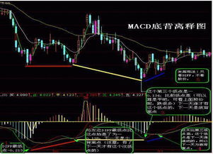 股票中什么是底背离的最新相关信息