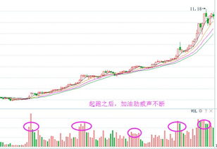 股票一字涨停，成交量才有五百多，封单才一万，后市好吗?