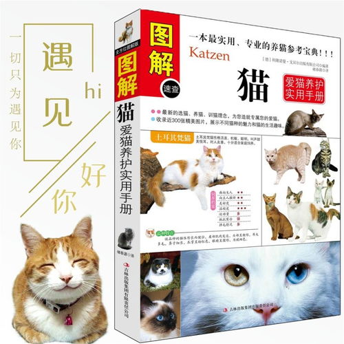 养猫书籍育猫全猫的品种介绍猫的习性猫的食物猫的疾病预防和治愈