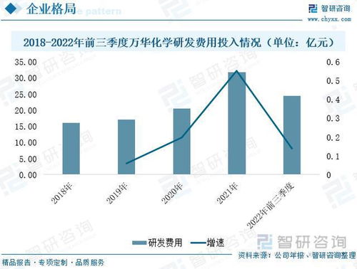 笔查重市场趋势分析，探索查重技术未来发展