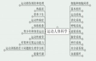 2016年江西教师招聘考试体育专业大纲解析 