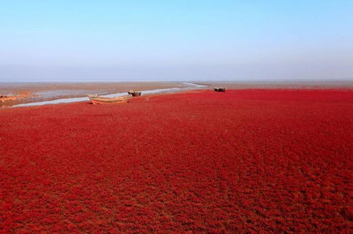 红海 为什么别样红 带你走进红色的海洋