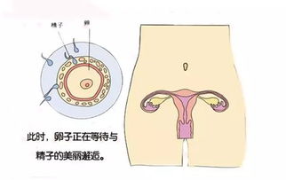 每个宝宝出生前都是个勇猛战士,一起看看ta的心路历程吧 