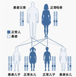 伤不起的的遗传病——遗传病风险预测