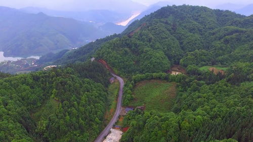 航拍农村路边两户人家,背靠大山前面是路,算是风水宝地吗 