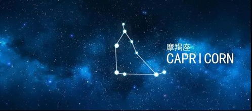 连晓明塔罗 一周星座运势 06.15 06.21