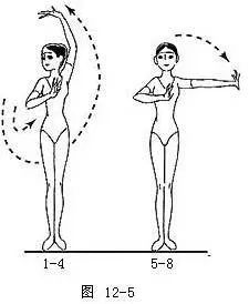 舞蹈的手位 步位 步法的基础知识