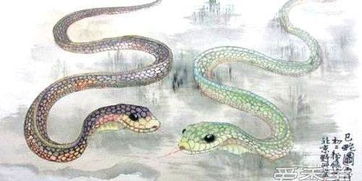 1977年出生的属蛇人2020年运势 