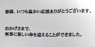 闪婚闪孕闪电生子 说不定还会闪电复出 