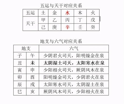 2025年辛丑年五运六气