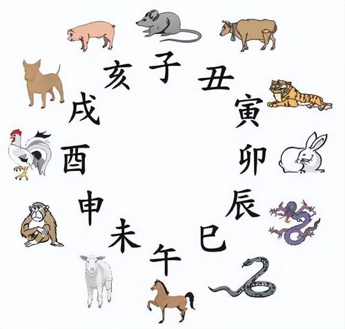 生肖猴,鸡,狗兔年4月 财运,事业运,感情运分析 生肖狗 生肖鸡 四大生肖 网易订阅 