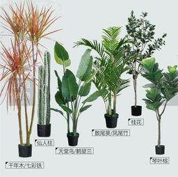 这17种植物是北欧风格的绝佳搭配