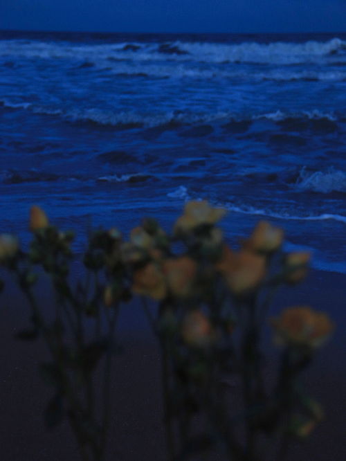 夏日海边 一场所走就走的浪漫 