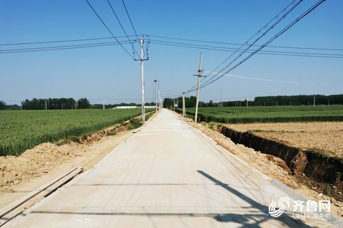 乡村夜话 看落实 单县刘土城村 土路变水泥路,果蔬种植户有了 新目标