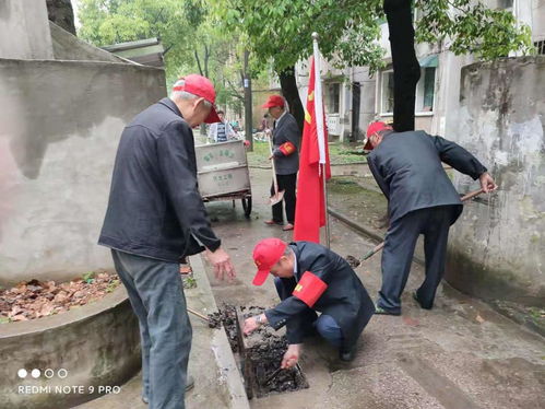 猫咪大陆（0.1免费版）（1212-永久）服务器冠名活动