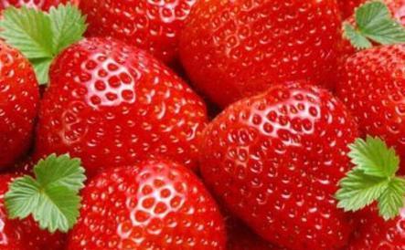 草莓的生长习性特点和生长环境条件,女峰草莓的生长习性？