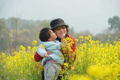 励志英子姐  油菜花香英子生了几个孩子？