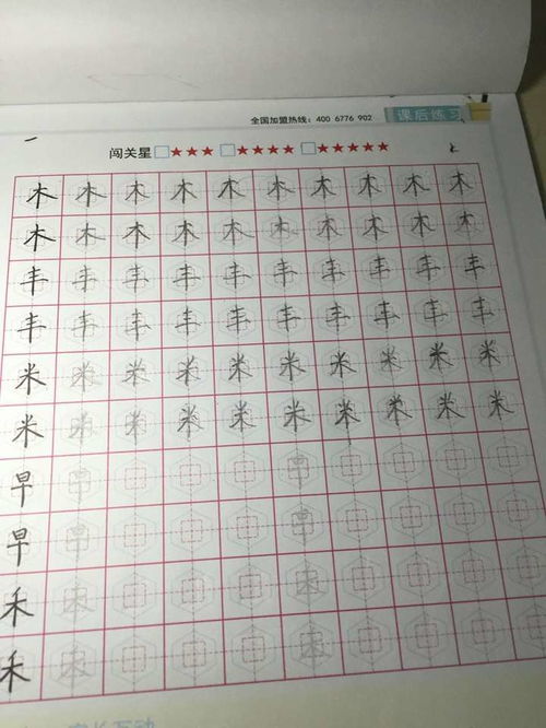 六棱格练字只注重练字的质量,每天10分钟,快乐练字,认真写好每一个字 www 