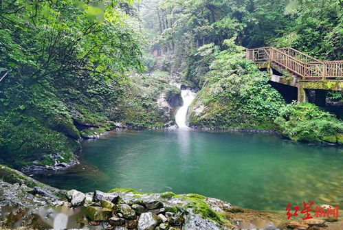 四川洪雅推瓦屋山两条避暑线路 15岁以下学生及中 高考毕业生9月前免门票