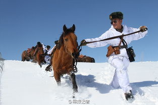 戍边卫士踏雪巡逻守边关