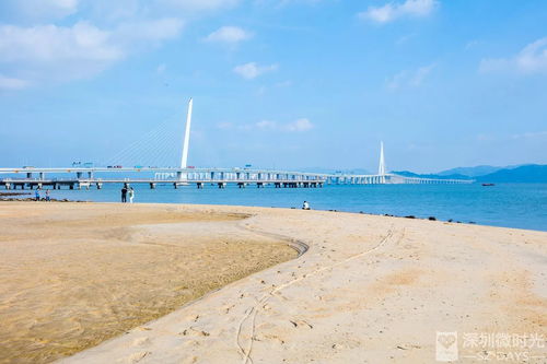 深圳湾也有沙滩了 免费开放,很少人知道 