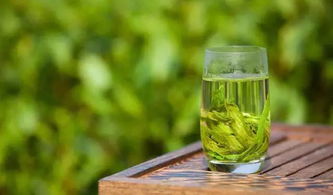 为什么很多人都酷爱绿茶