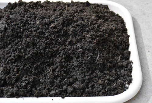 泥炭土的自制方法,泥炭土的自制方法
