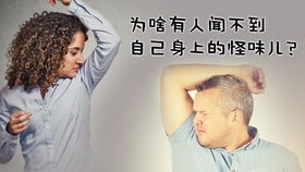 为什么腋臭朋友自己闻不到自己身上的味道