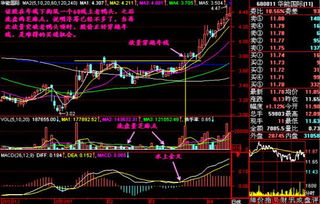 个股在上升途中遇大盘大跌但此股仍放量涨