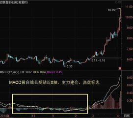 立昂技术MACD金叉，技术面值得关注！