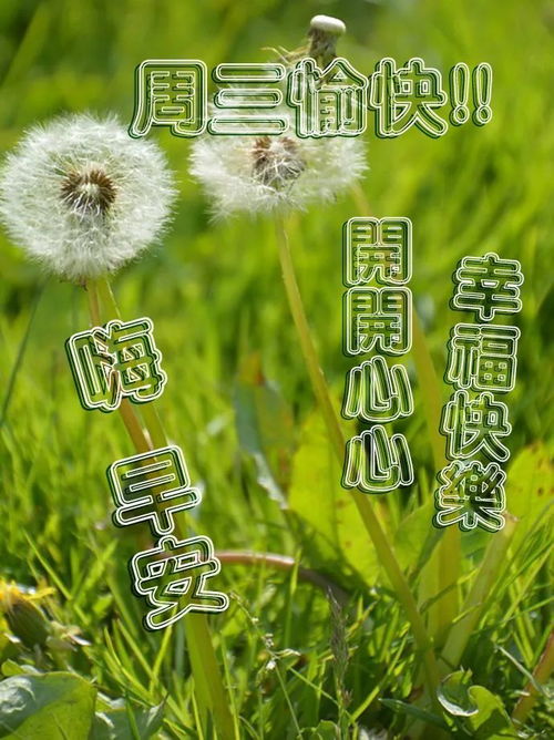 早上好温馨图片大全 祝福早上好的句子