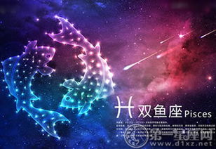 疯狂的粉丝,偶像到哪这些星座就到哪