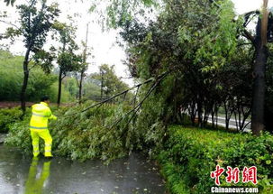 摩羯 过境安徽173乡镇降雨超50毫米 