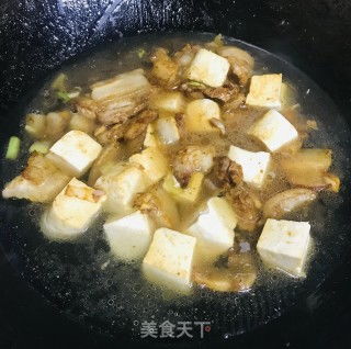 猪肉炖双豆腐的做法 猪肉炖双豆腐怎么做 四月豆的菜谱 