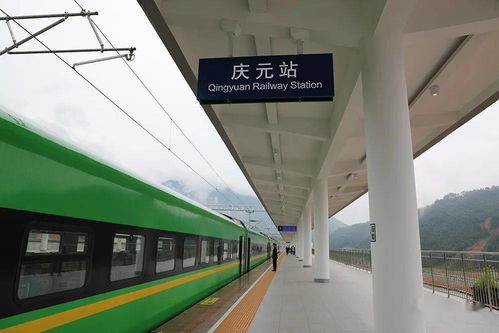 今天,我终于在庆元坐火车出行了